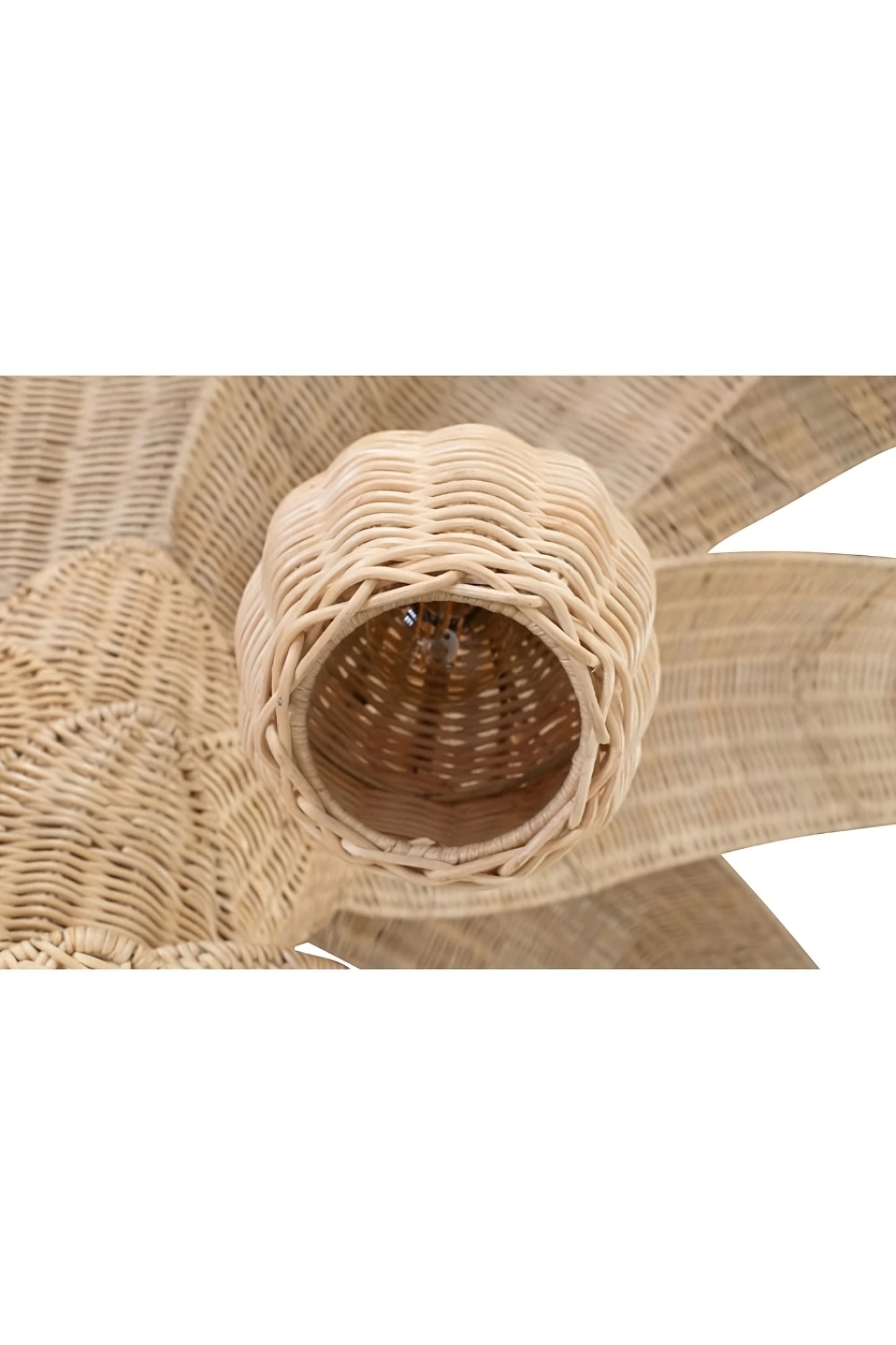 Handcrafted Rattan Floor Lamp | Versmissen Palm Tree