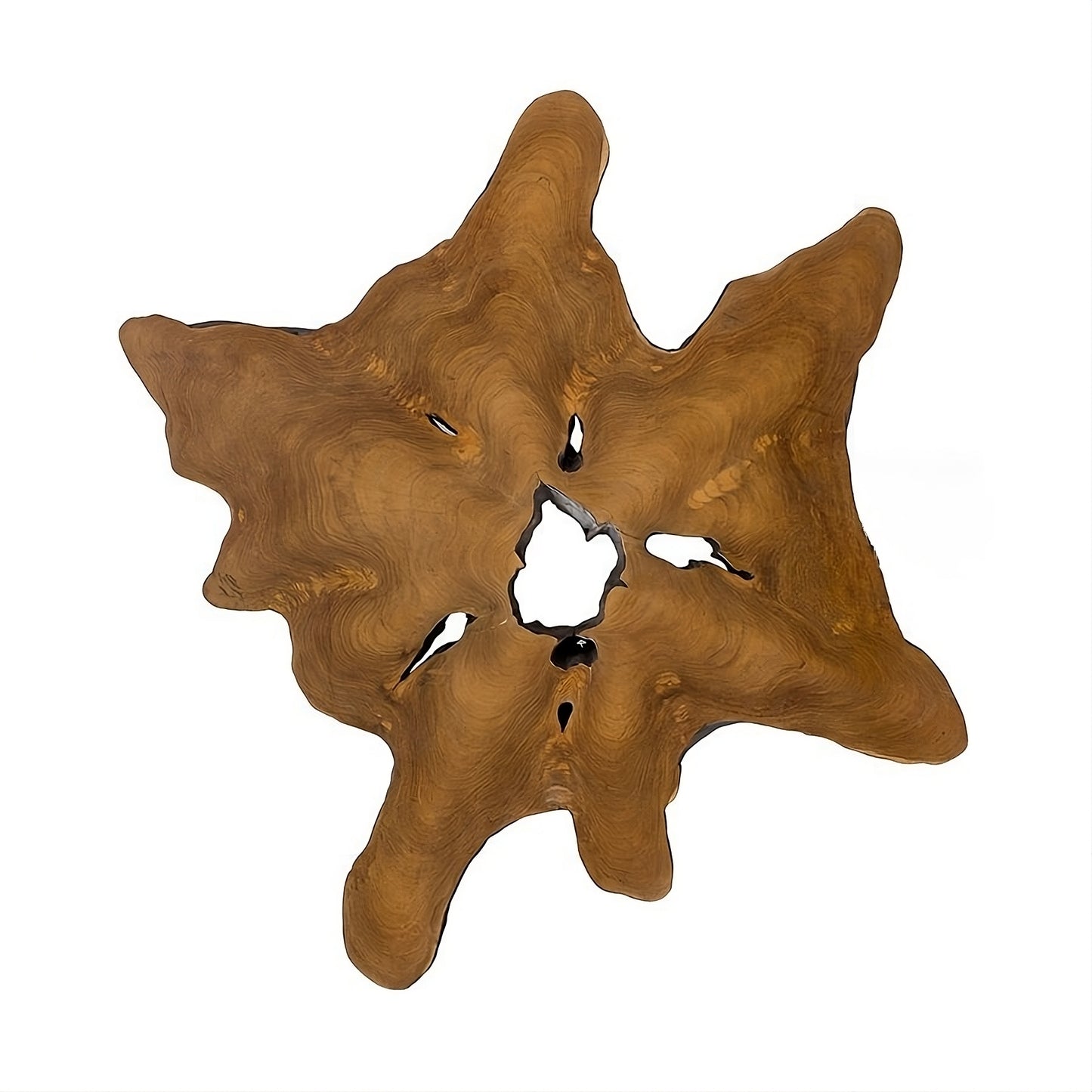 Coffee table Root 100