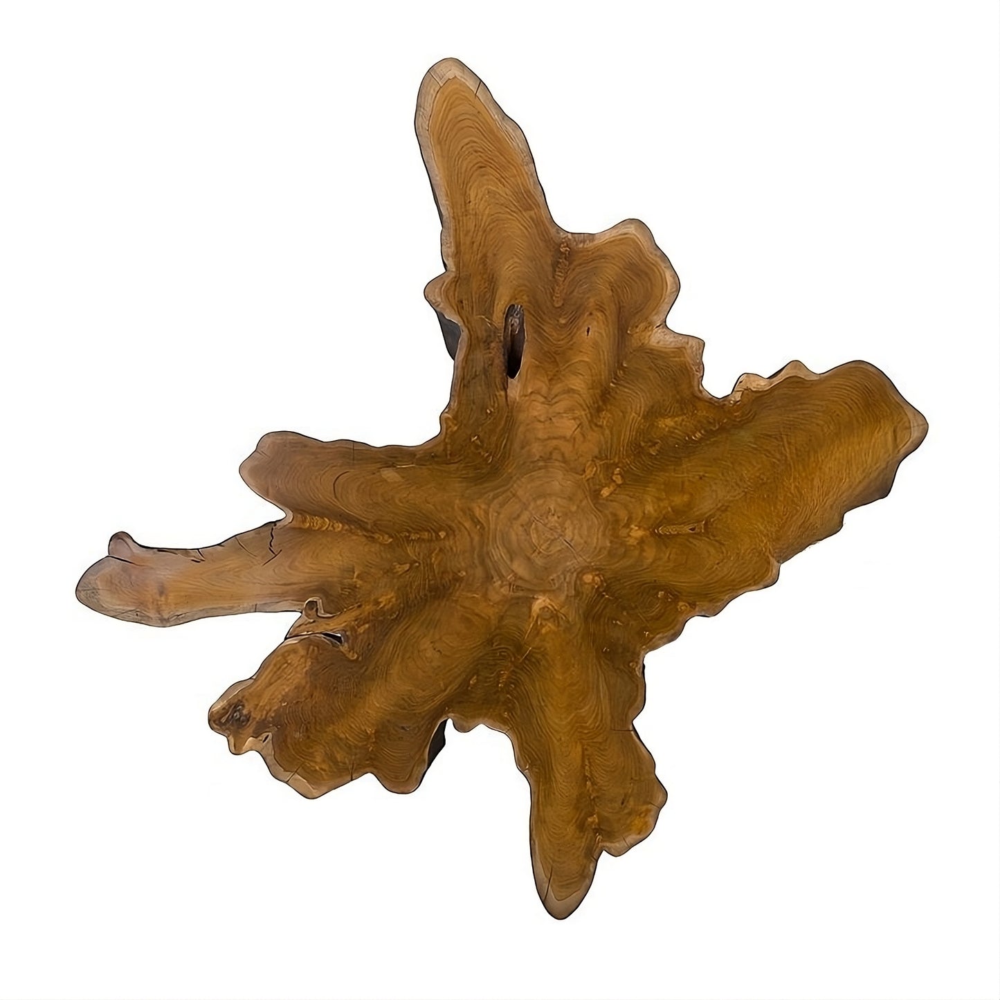 Coffee table Root 100