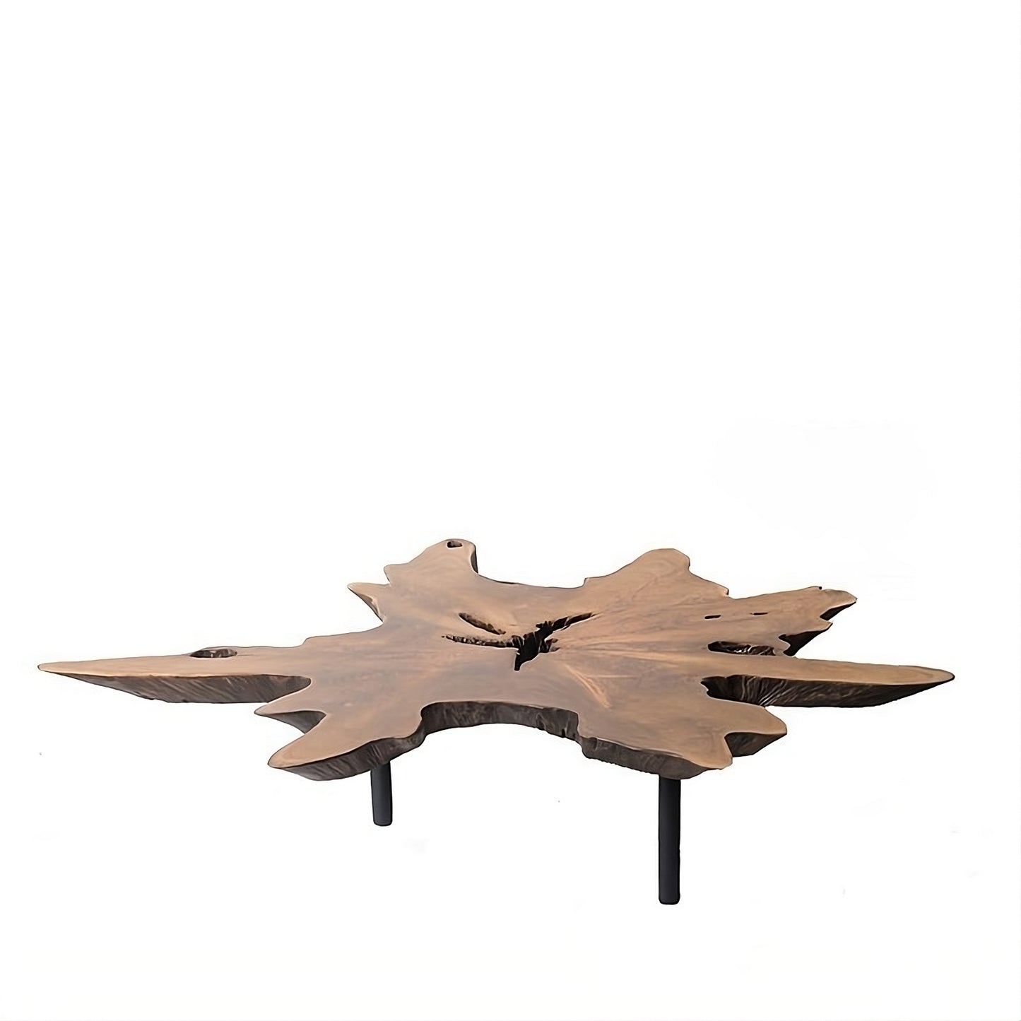 Coffee table Root 100