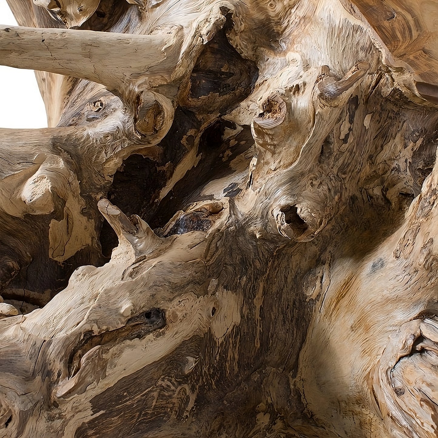 Coffee table Root 100 (58436N) with glass