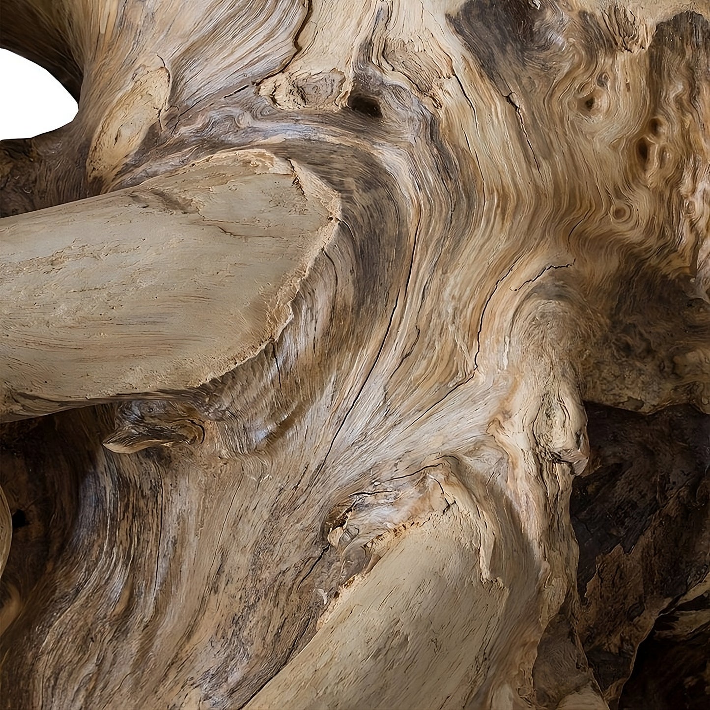 Coffee table Root 100 (58436N) with glass
