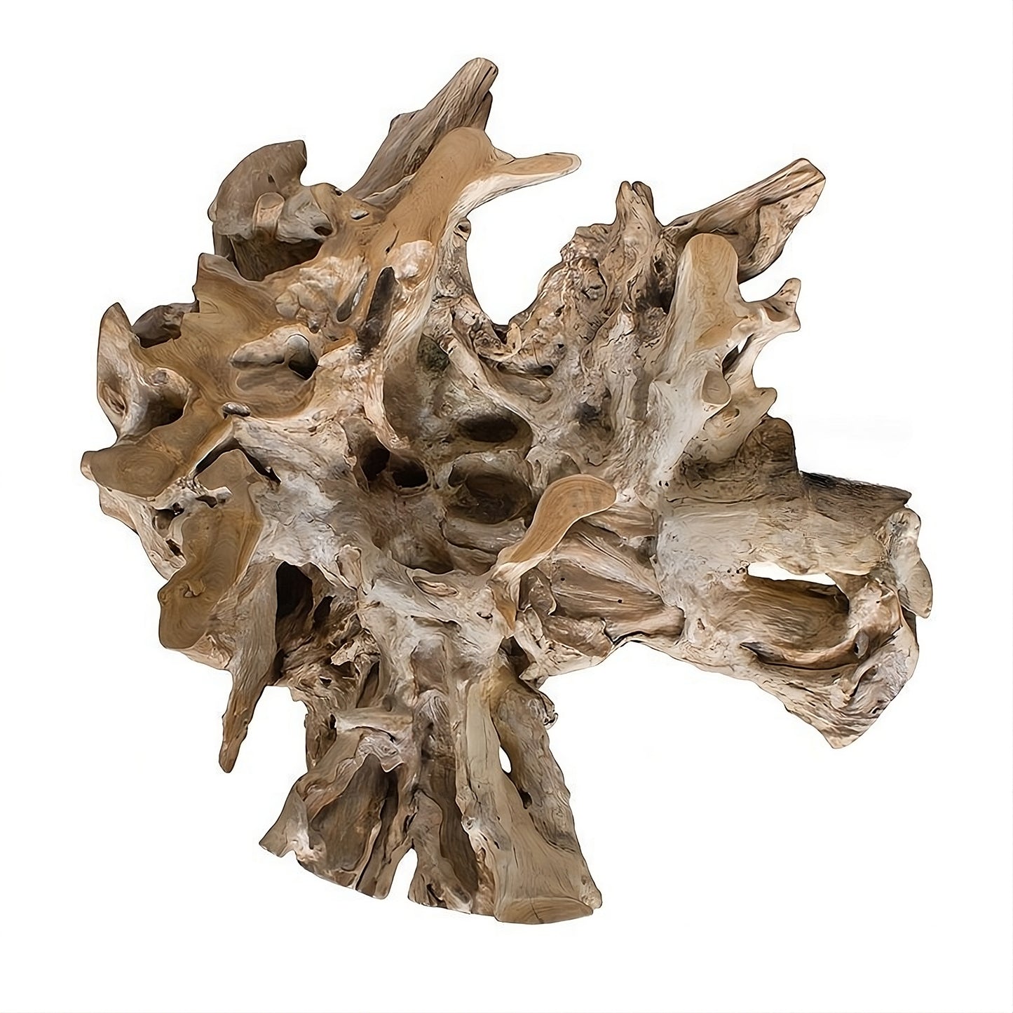 Coffee table Root 100 (58440N) with glass