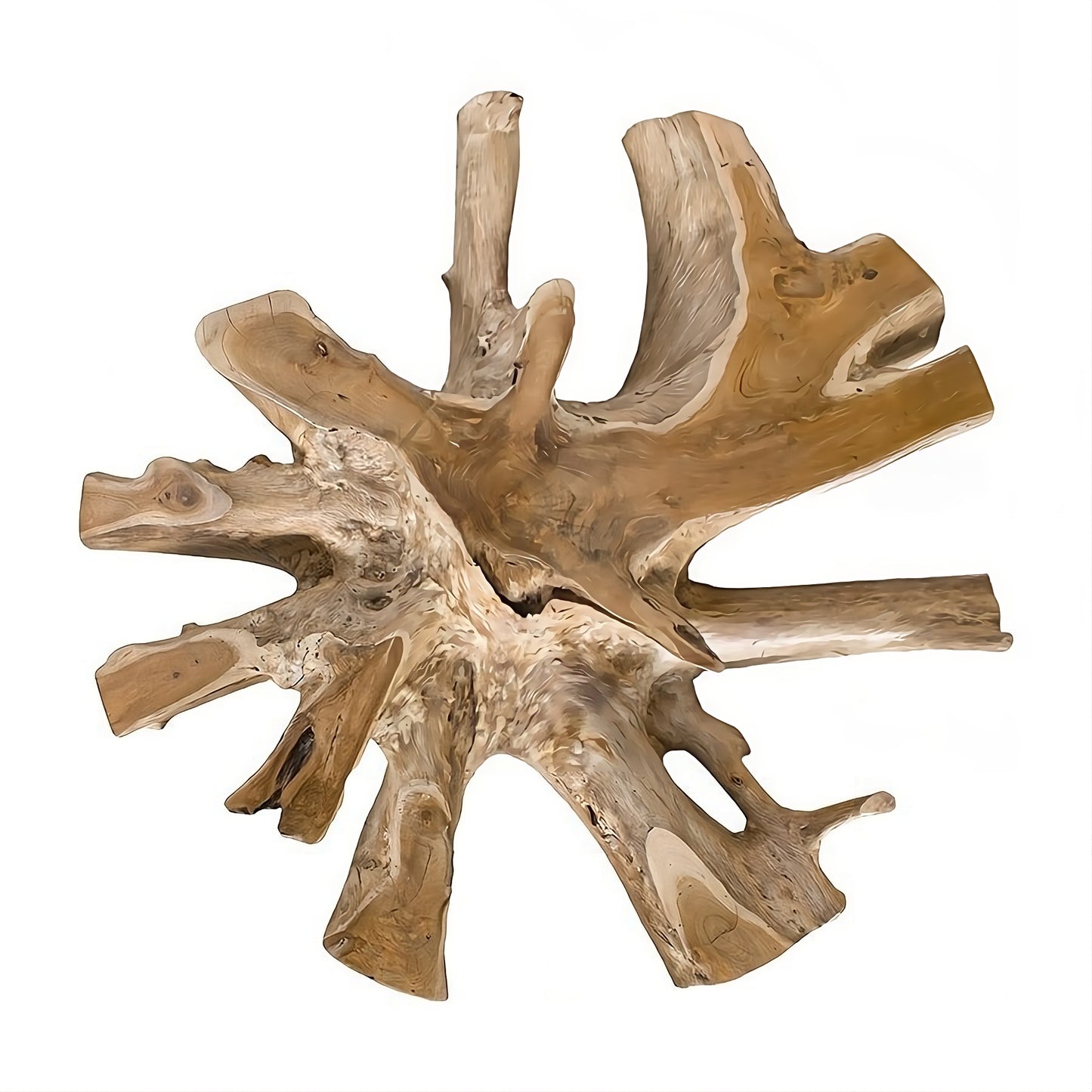 Coffee table Root 100 (58442N) with glass