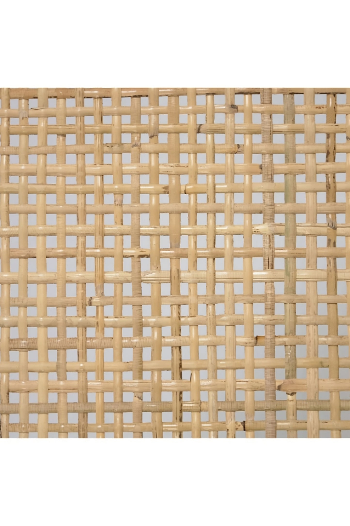 Solid Teak Rattan Accent Chair | La Forma Beida