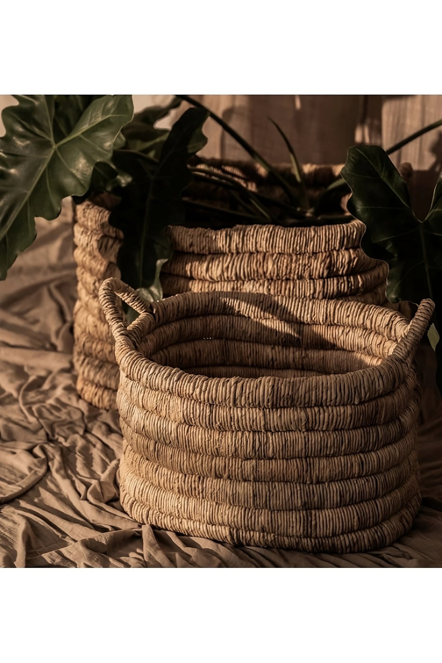 Rectangular Abaca Basket With Handle | dBodhi Caterpillar Sago