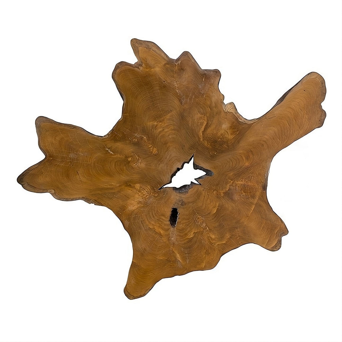 Coffee table RootOne 120
