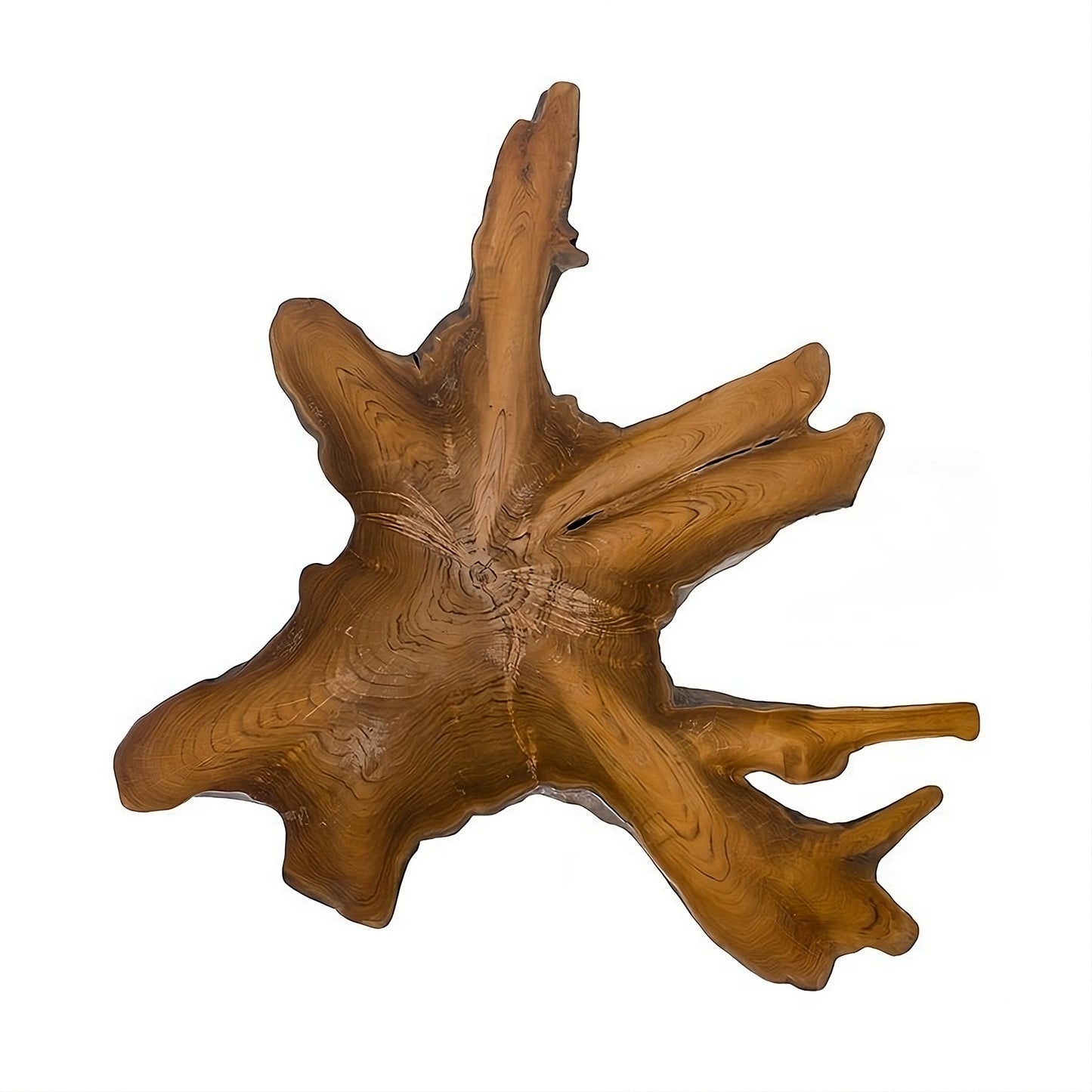 Coffee table RootOne 120