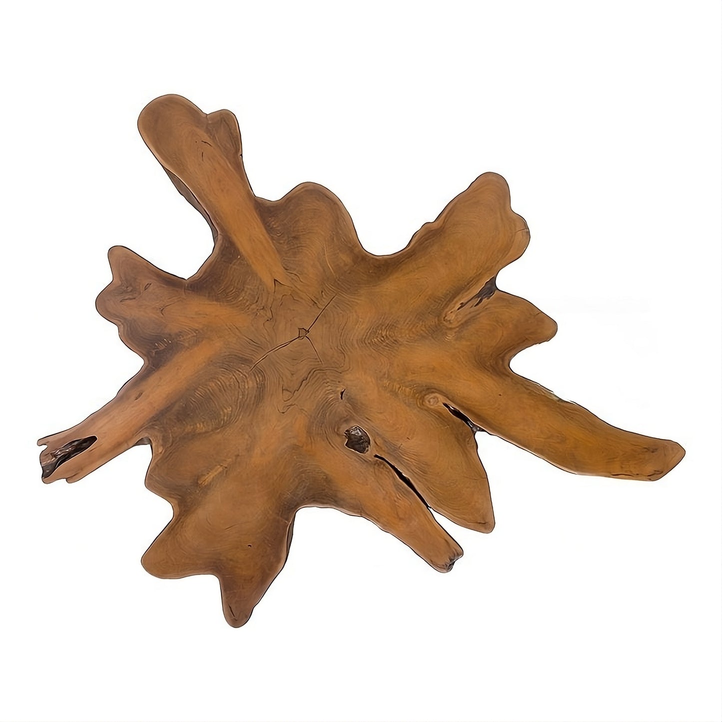 Coffee table RootOne 120