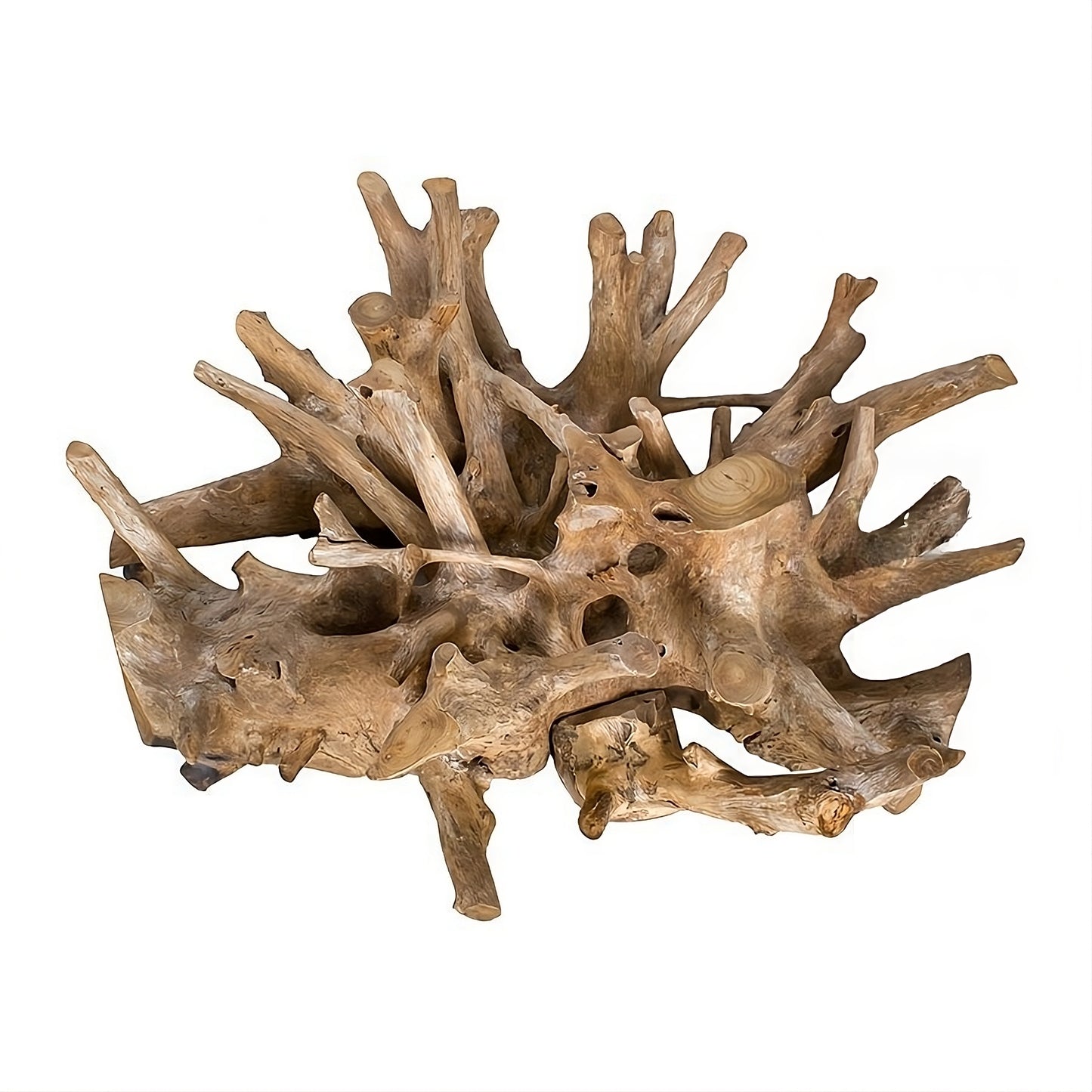 Coffee table Root 100 (58432N) with glass