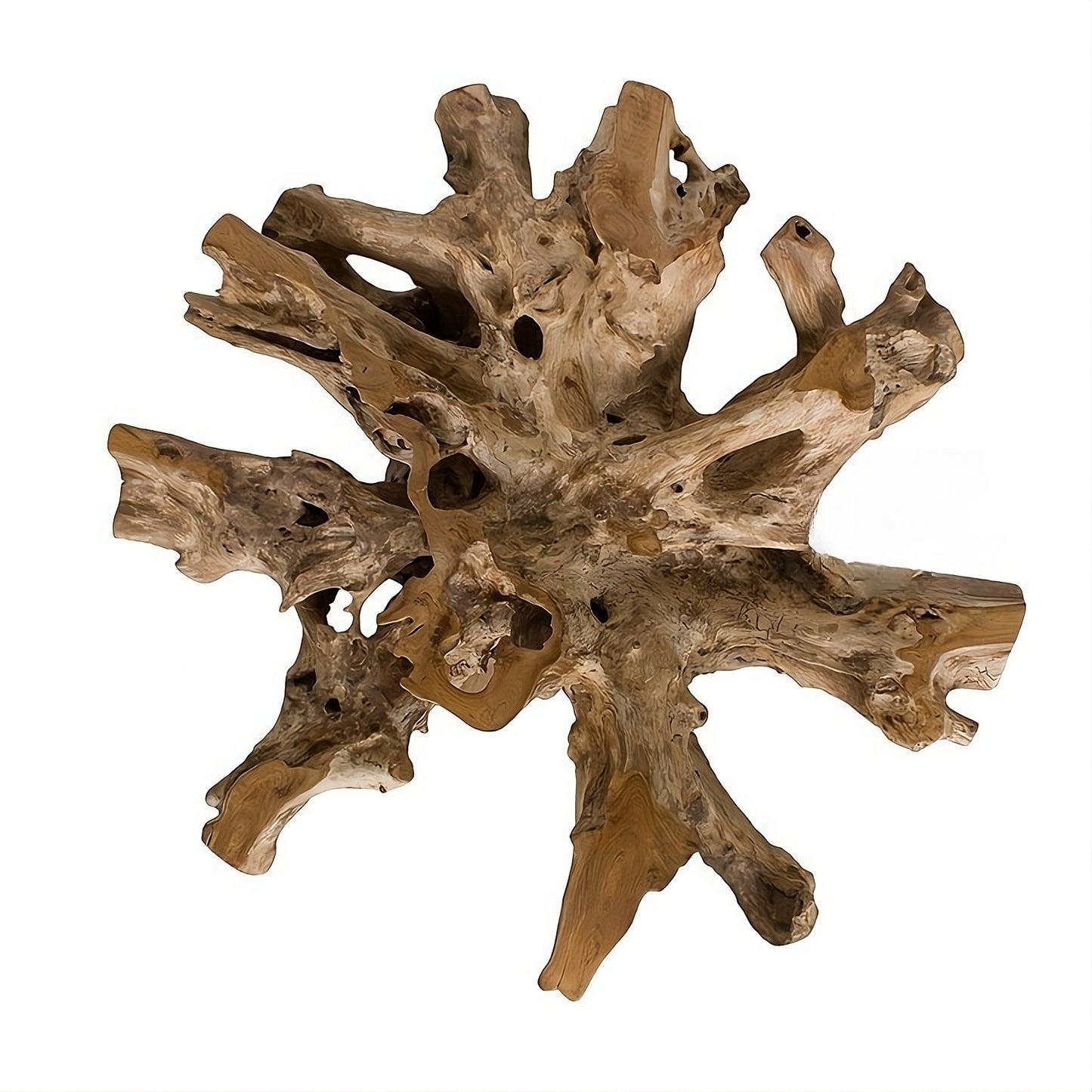 Coffee table Root 100 (58434N) with glass