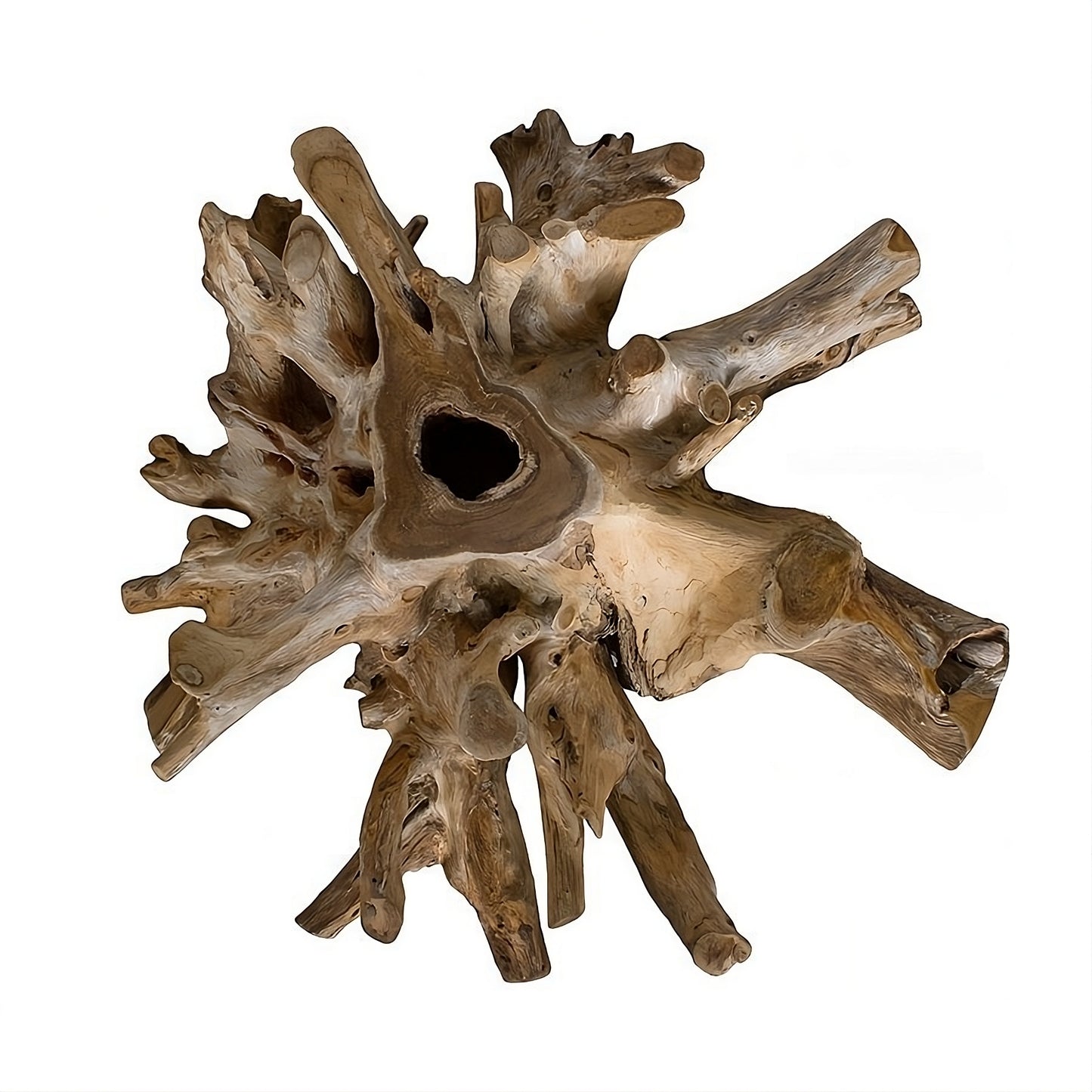 Coffee table Root 100 (58438N) with glass