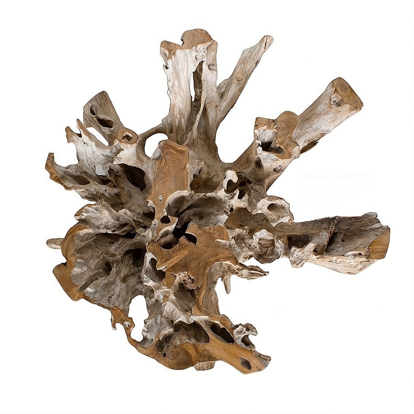 Coffee table Root 100 (58441N) with glass