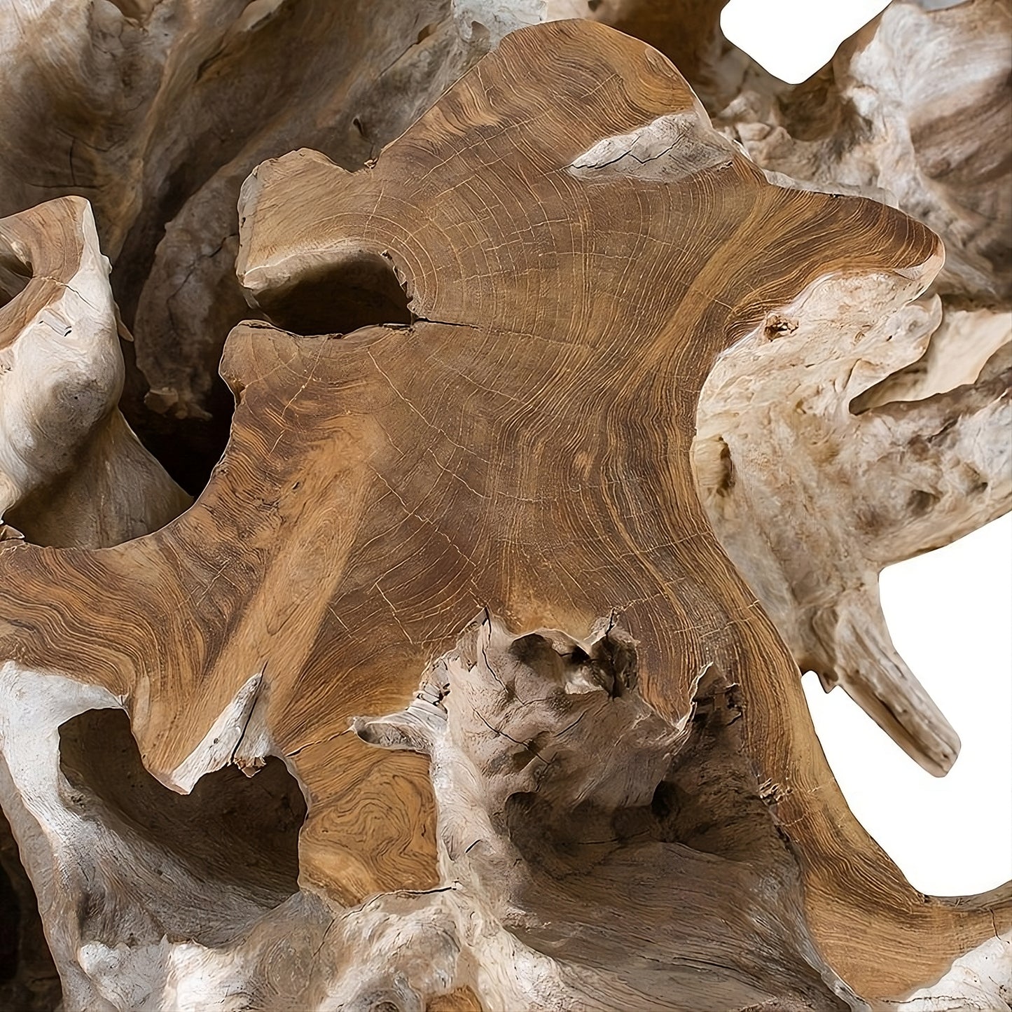 Coffee table Root 100 (58441N) with glass