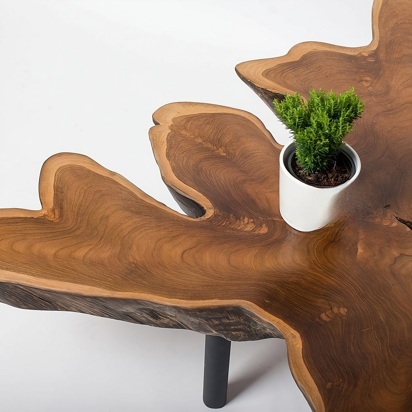 Coffee table Root 80