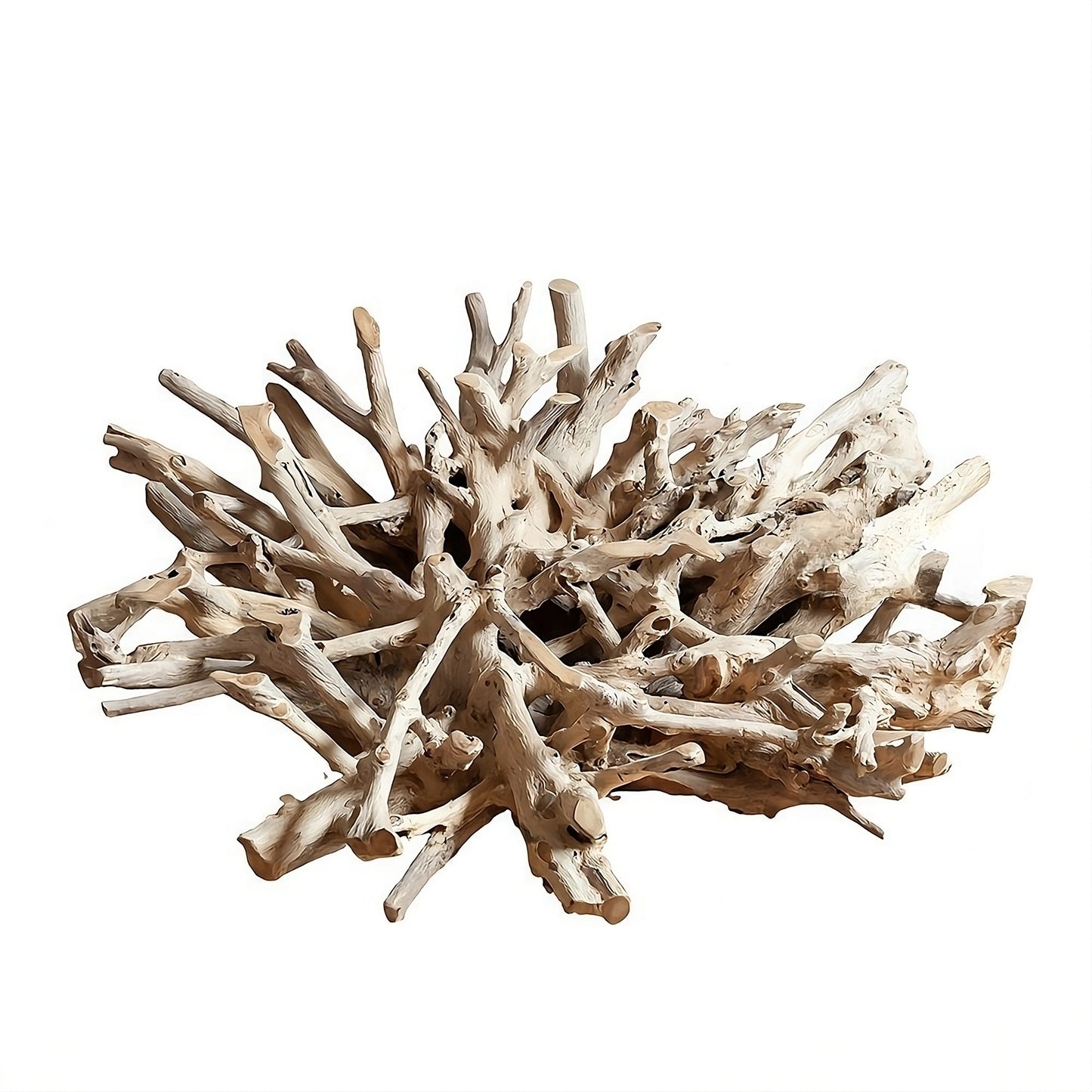 Coffee table Root (34011N) with glass