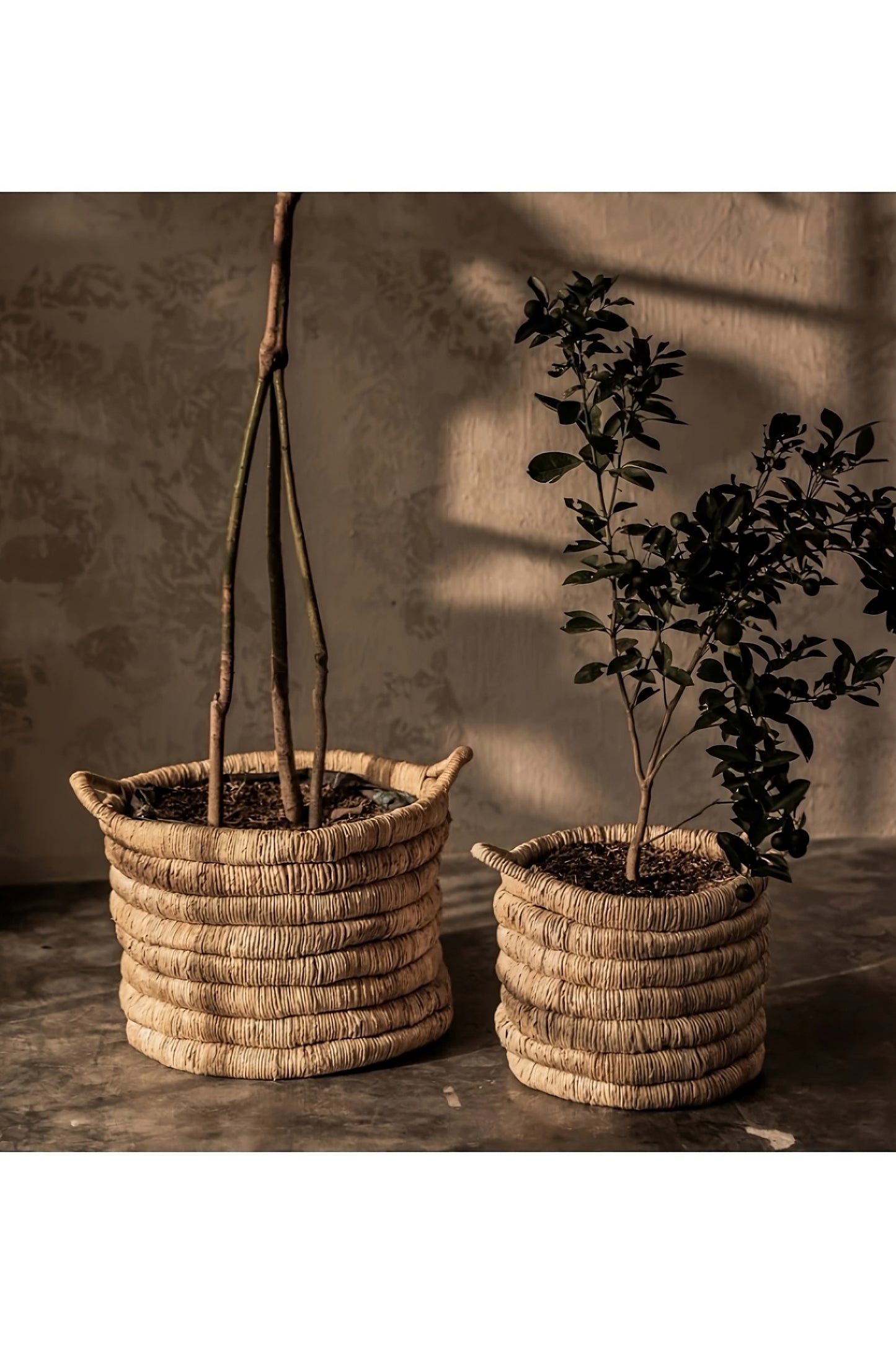 Round Abaca Basket With Handle | dBodhi Caterpillar Sago