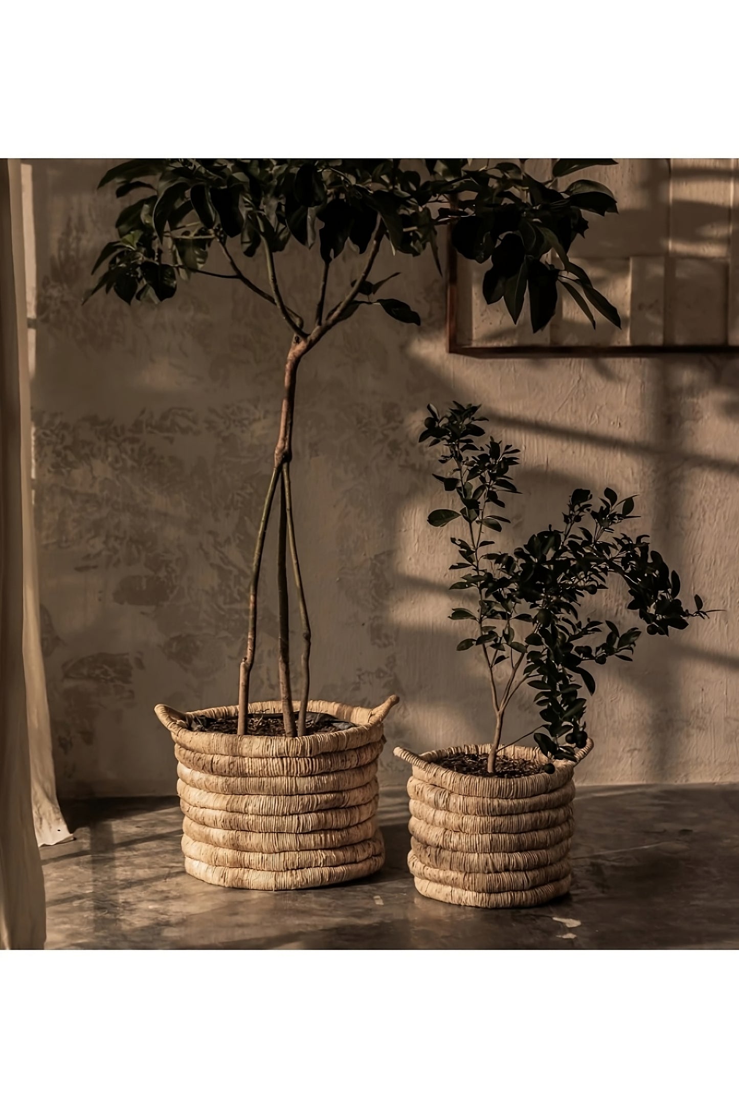 Round Abaca Basket With Handle | dBodhi Caterpillar Sago