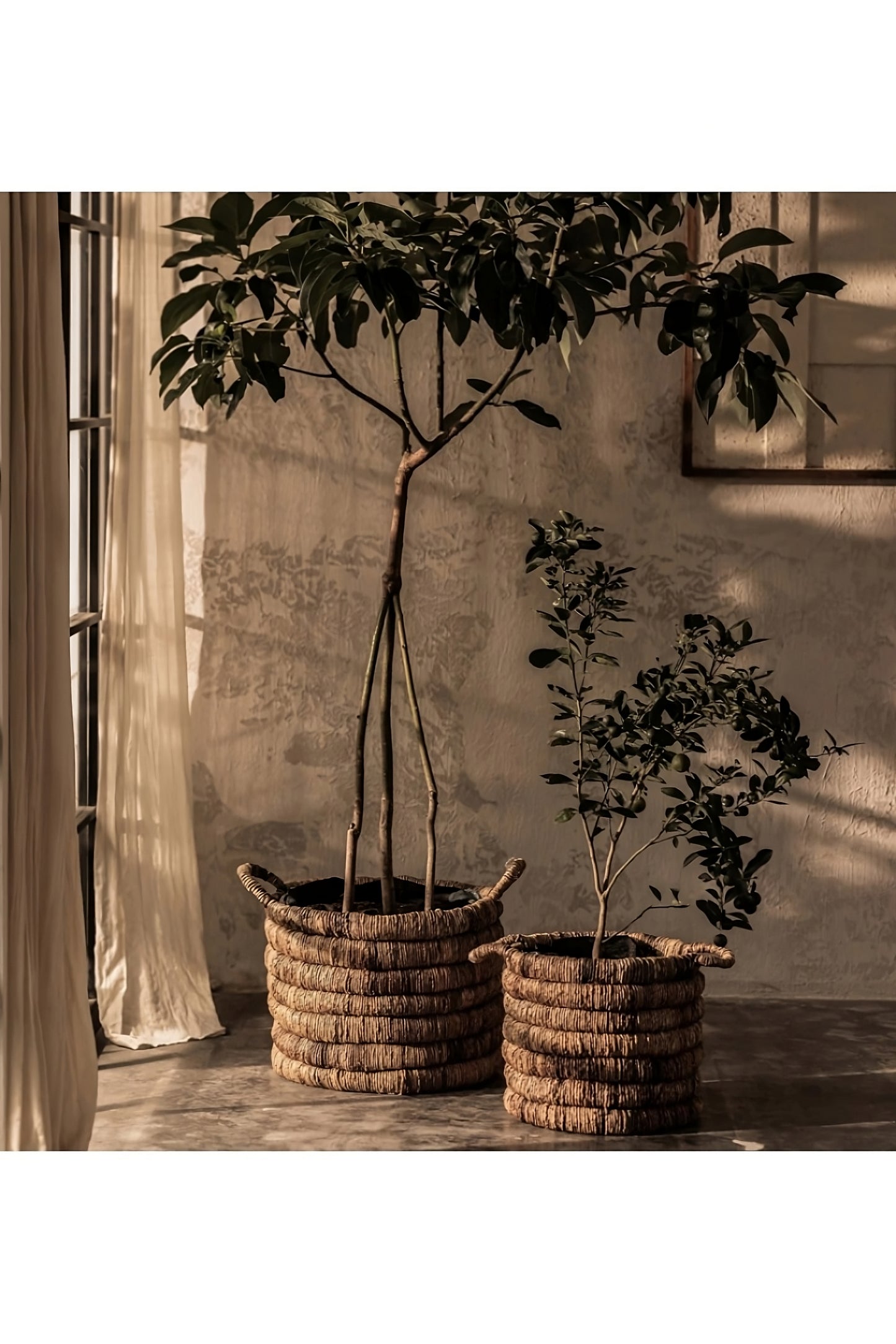 Round Abaca Basket With Handle | dBodhi Caterpillar Sago