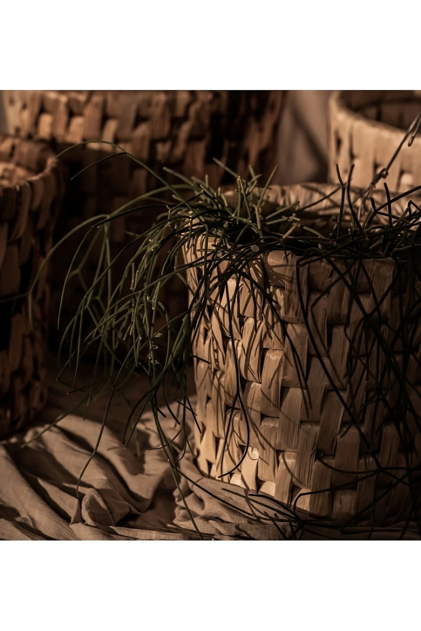 Round Weaved Abaca Basket Set (2) | dBodhi Semeru