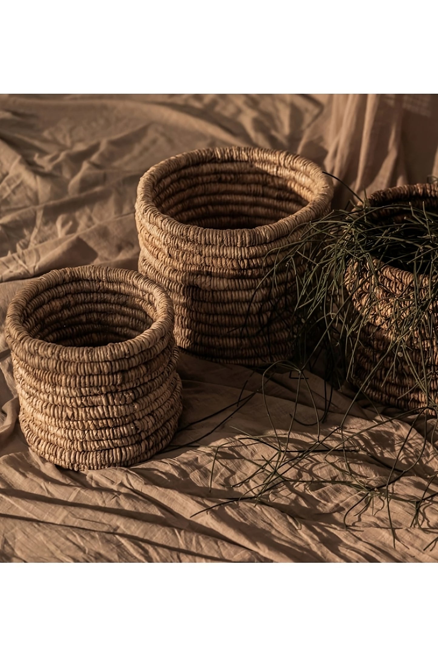 Round Woven Abaca Basket Set (2) - M | dBodhi Caterpillar Ambang