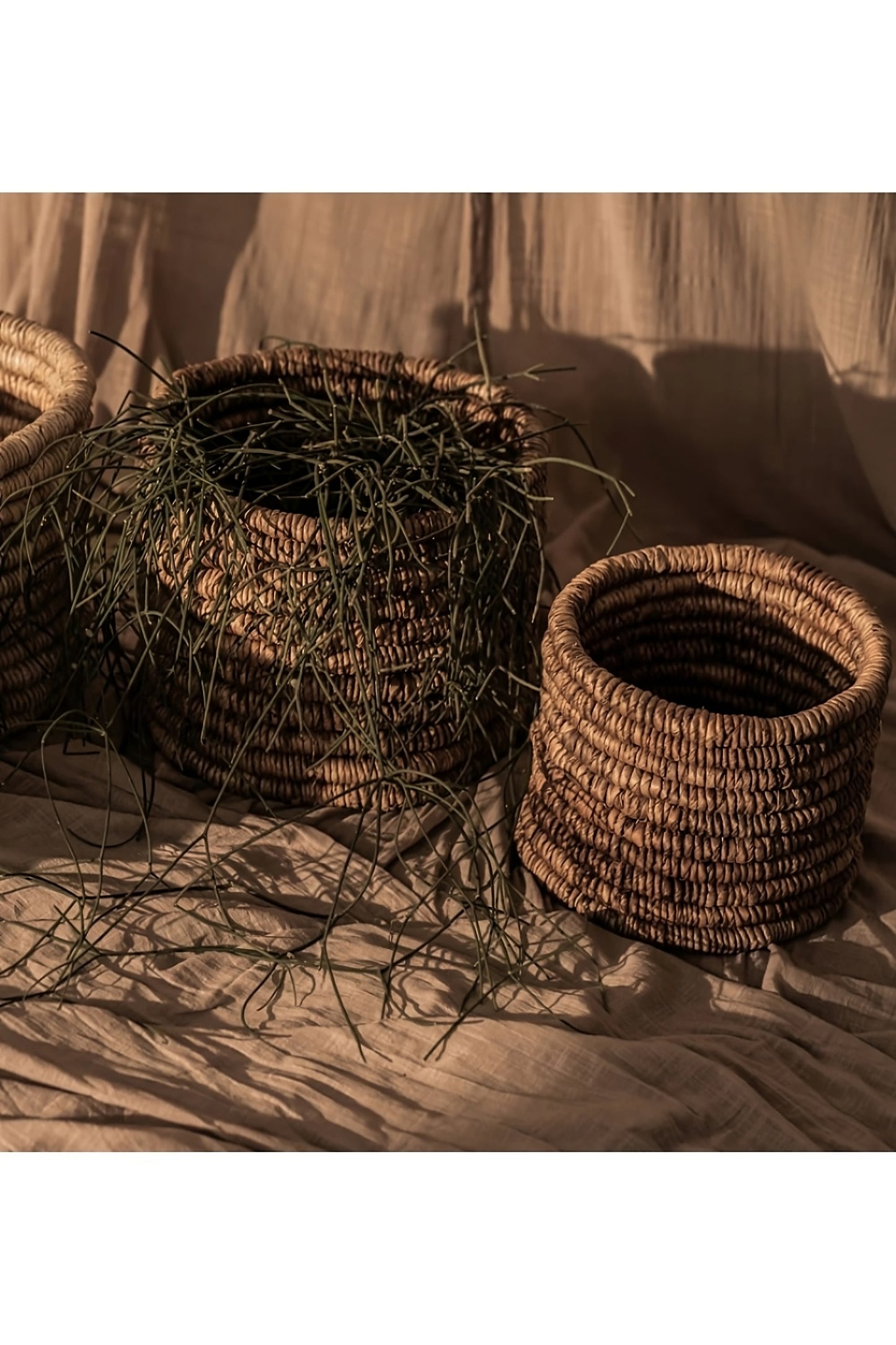 Round Woven Abaca Basket Set (2) - M | dBodhi Caterpillar Ambang