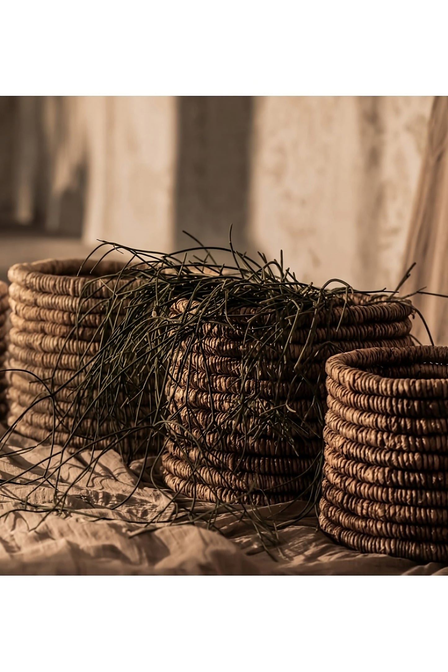 Round Woven Abaca Basket Set (2) - M | dBodhi Caterpillar Ambang