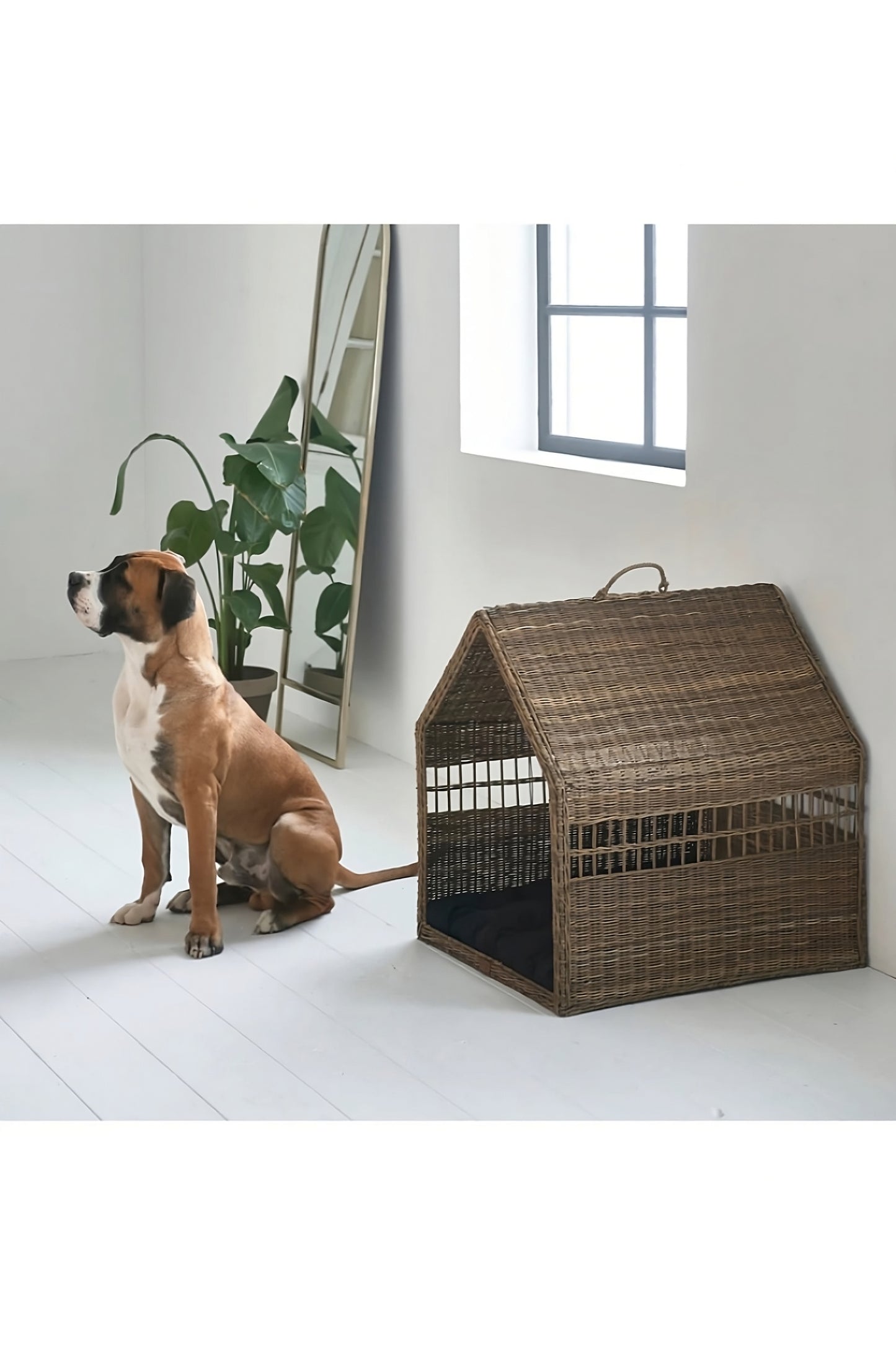 Set Keranjang Anjing Rotan Pedesaan (2) | Rumah Maison Riviera