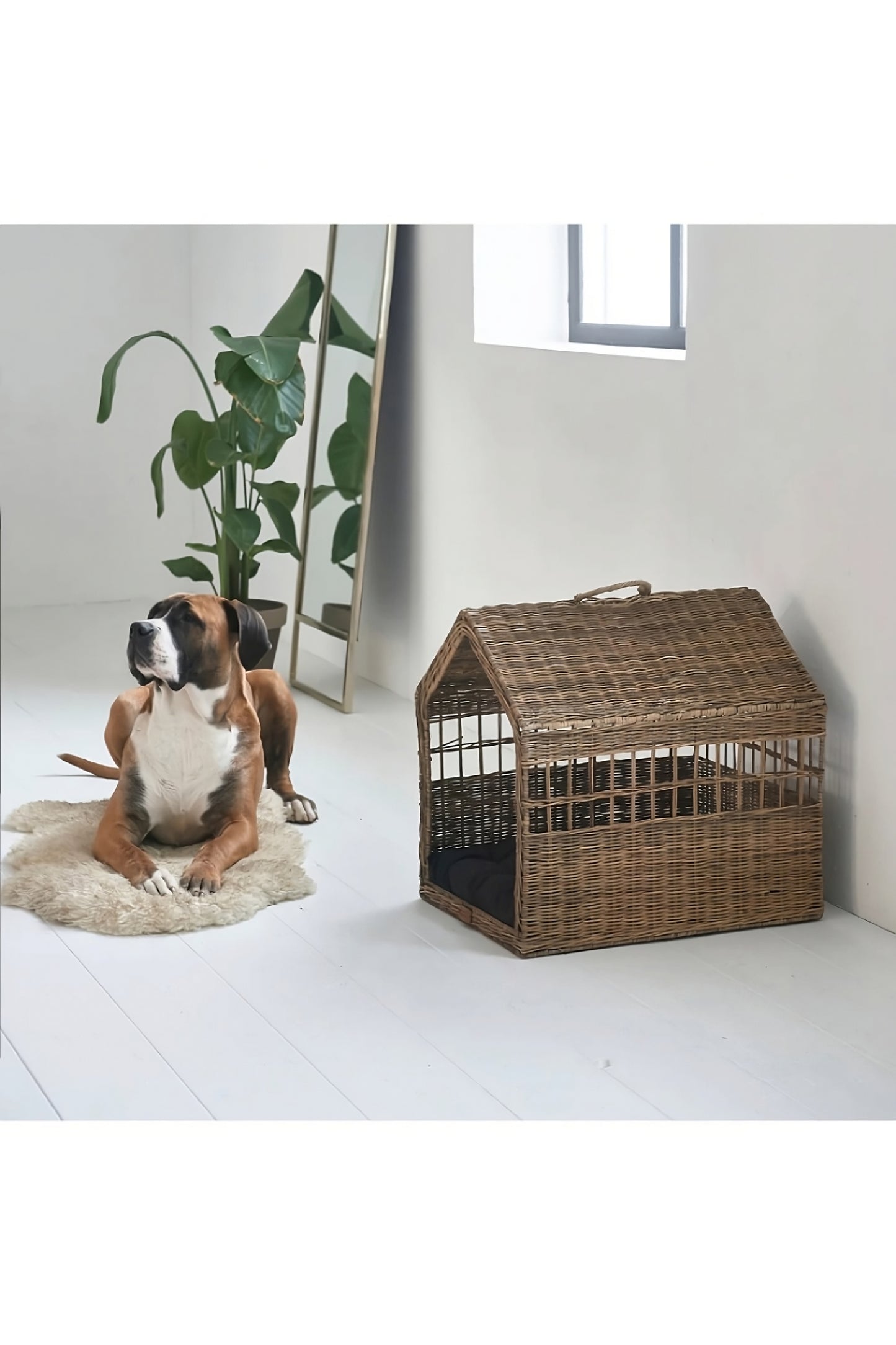 Set Keranjang Anjing Rotan Pedesaan (2) | Rumah Maison Riviera